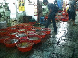 Cina-05-mercato-del-pesce-a-Gulangyu